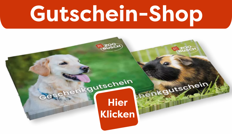Gutschein-Shop. Zu sehen sind 2 Gutscheine. Hier klicken
