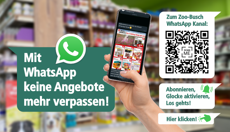 Hinweis auf den Zoo-Busch WhatsApp Kanal. Text:" Mit WhatsApp keine Angebote mehr verpassen. Abonniere, Glocke aktivieren, los gehts." QR-Code mit Link zum WhatsApp Kanal.